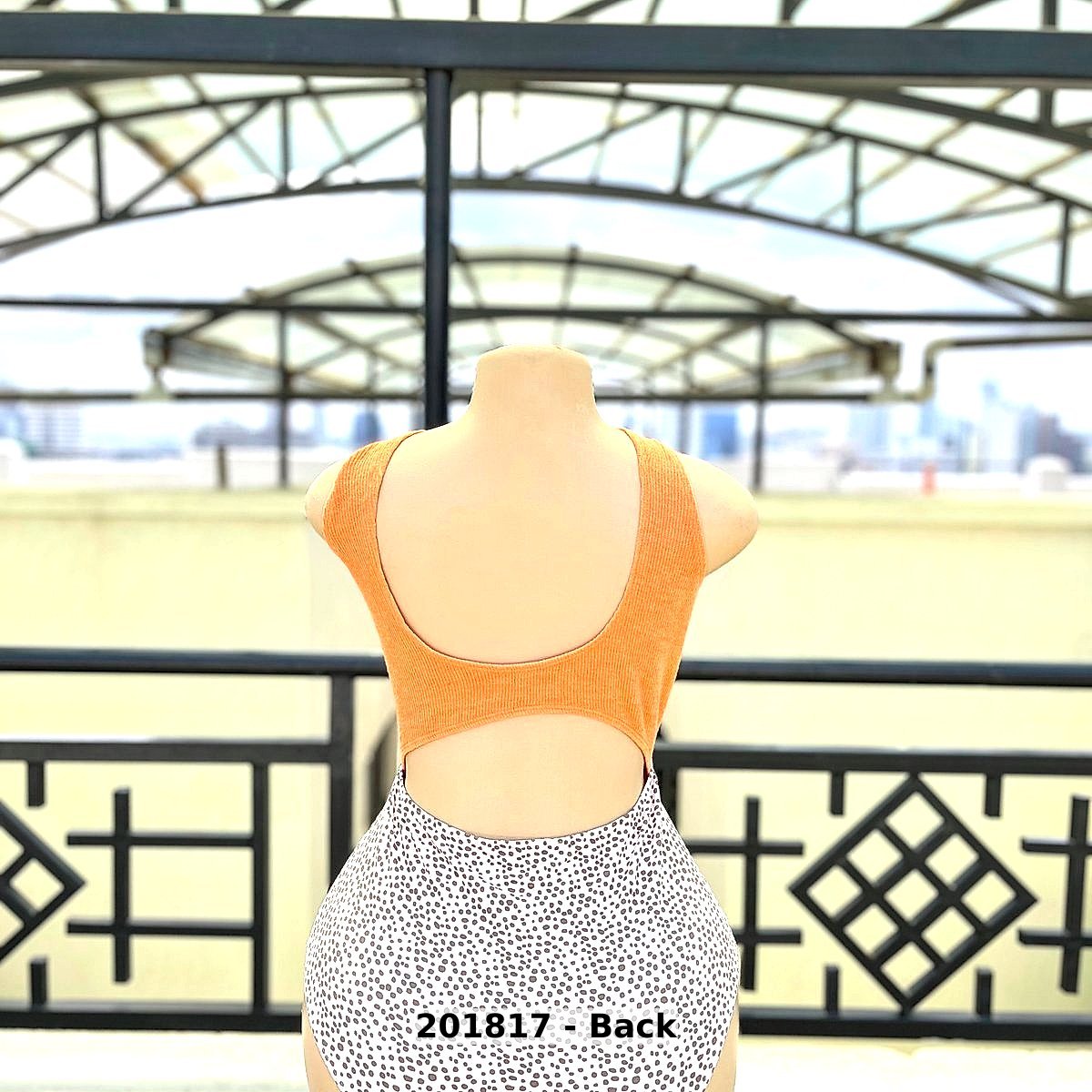 women Swimwear One Piece
