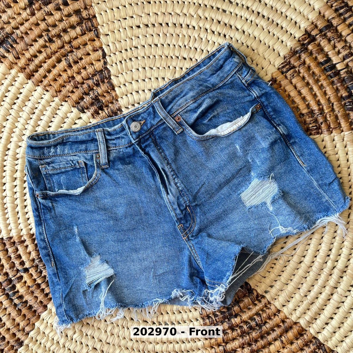 women Pants Shorts