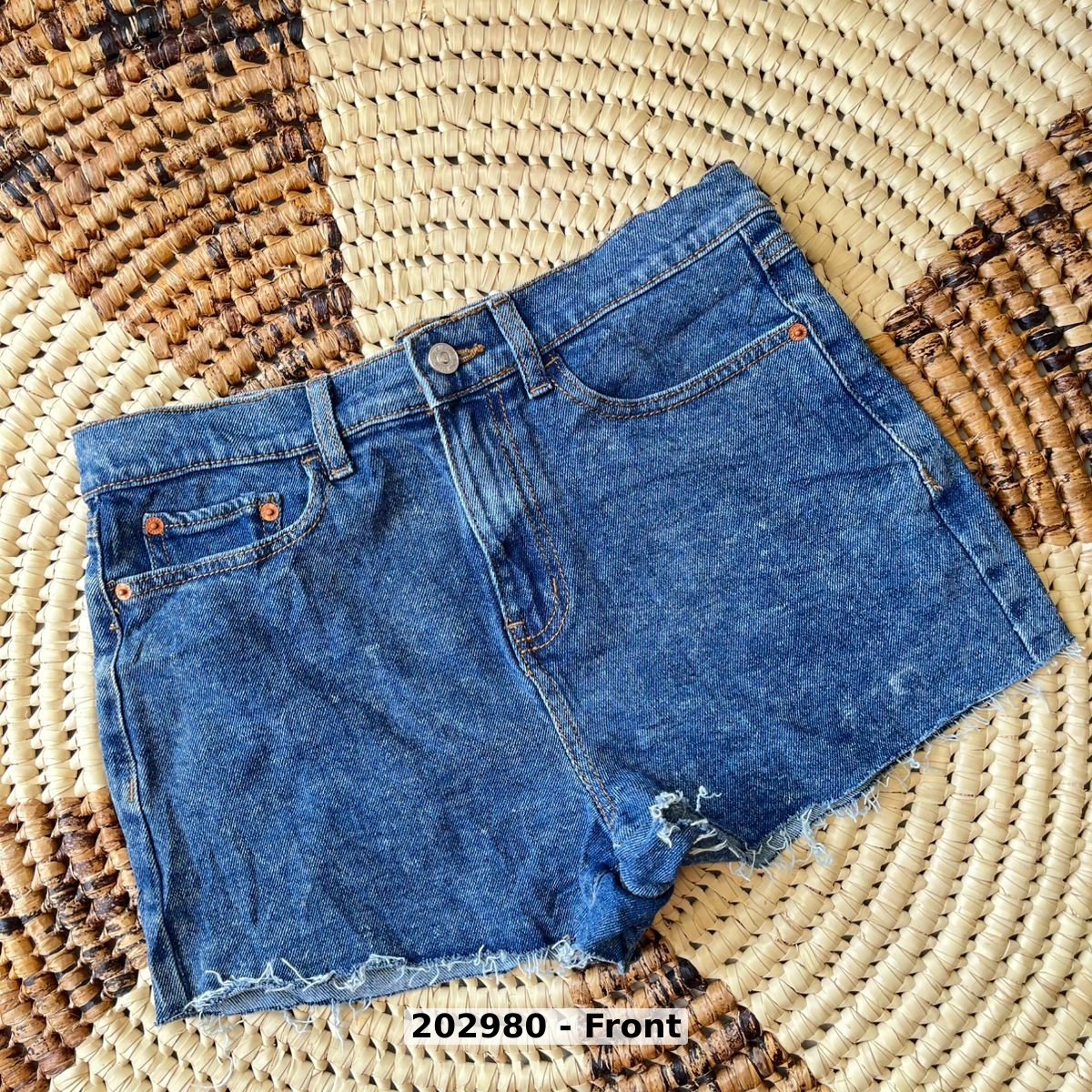 women Pants Shorts