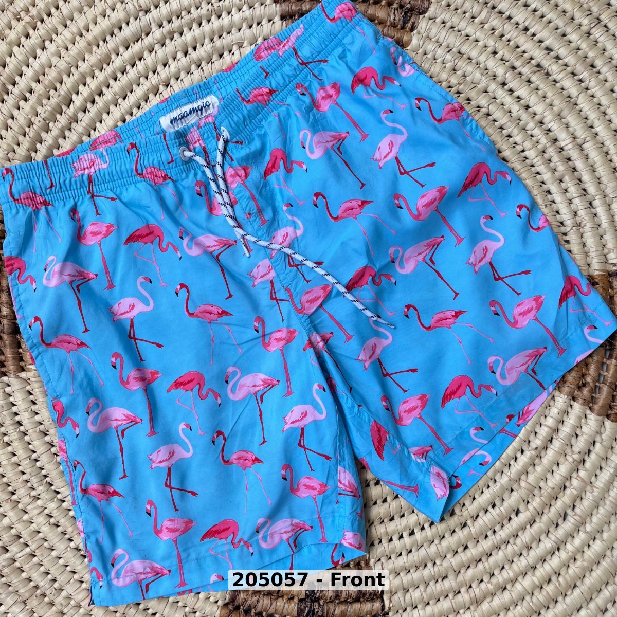 men Swimwear Swim Shorts