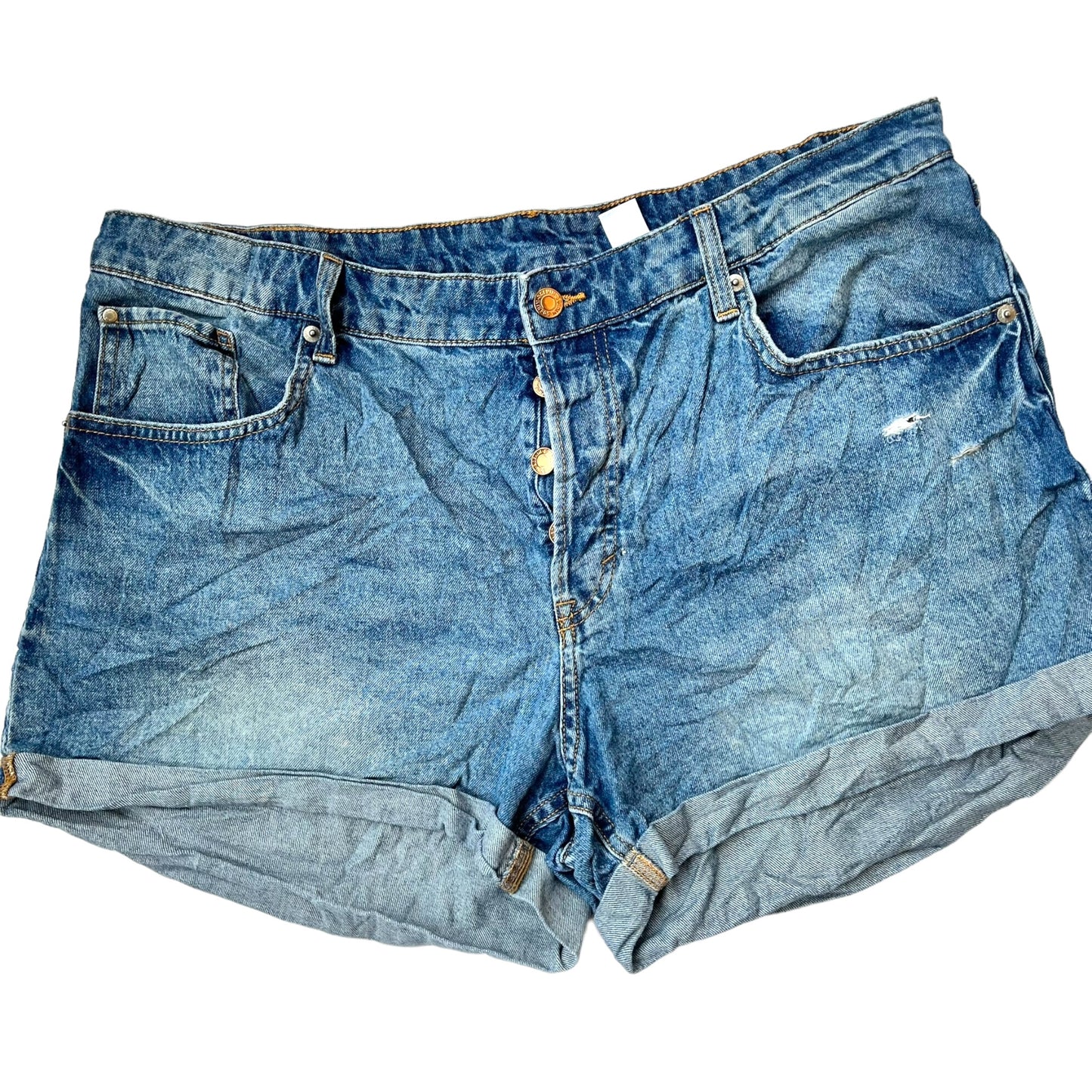 Shorts Adult Female