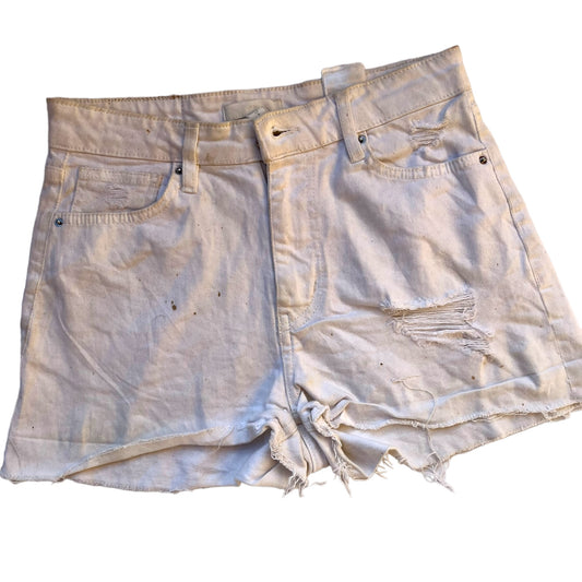 Shorts Adult Female