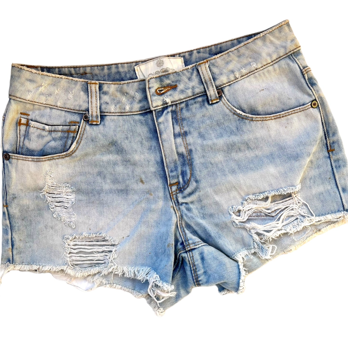 Shorts Adult Female