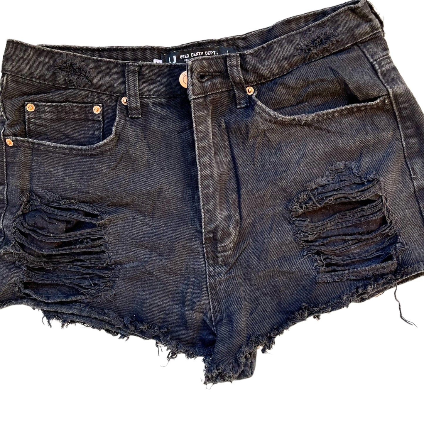 Shorts Adult Female