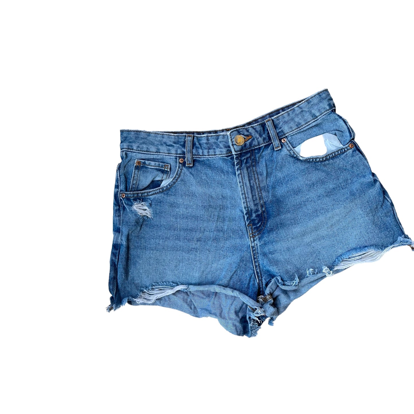 Shorts Adult Female