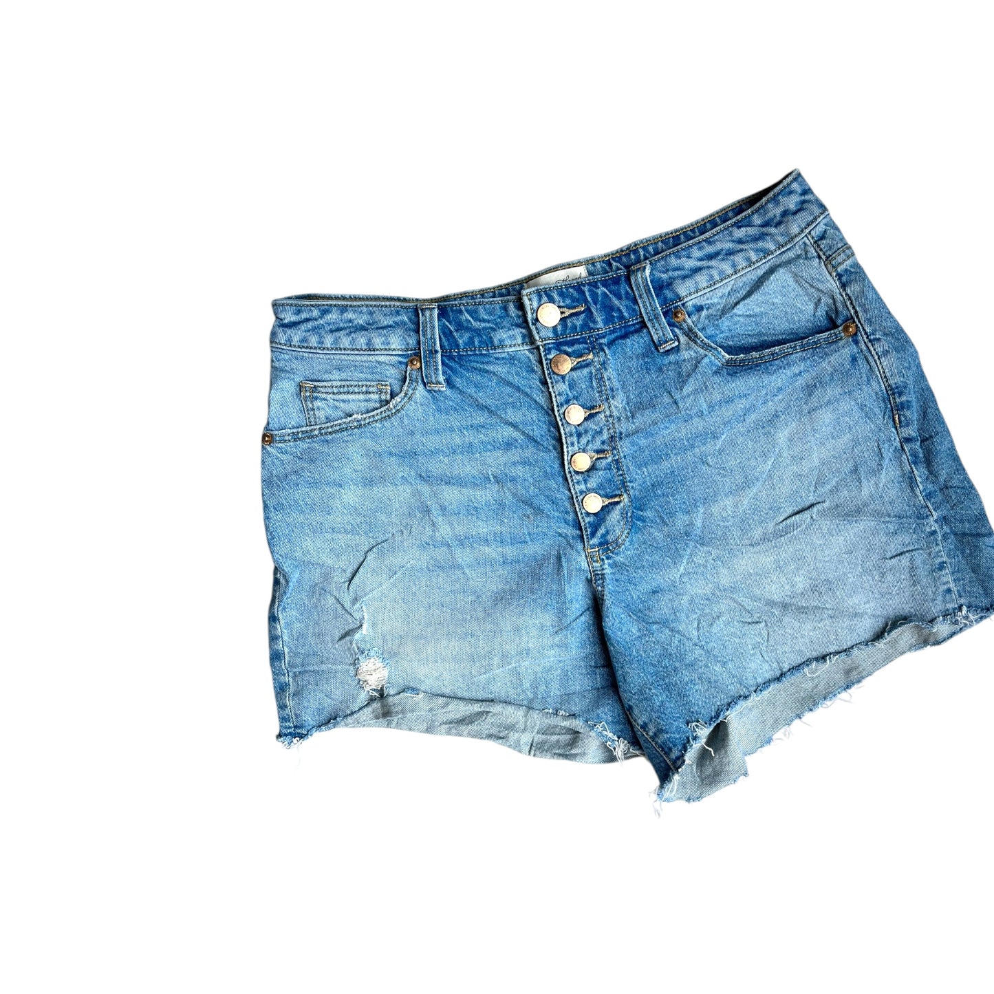 Shorts Adult Female