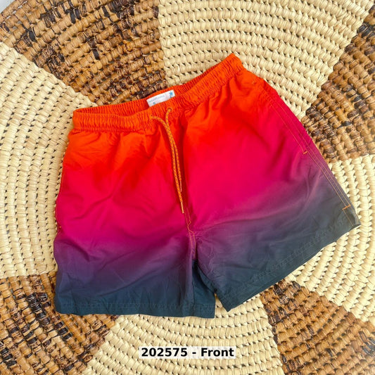 men Swimwear Swim Shorts