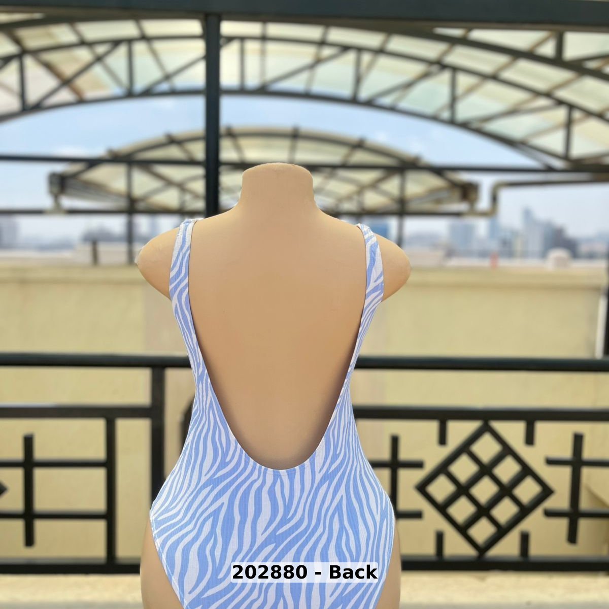 women Swimwear One Piece