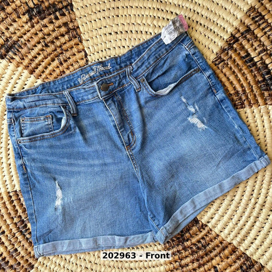 women Pants Shorts