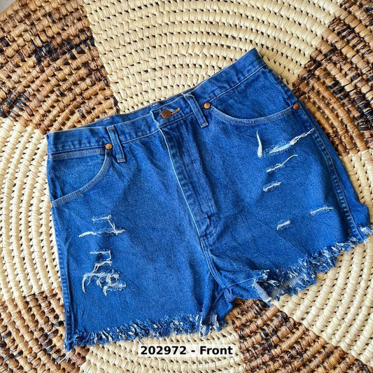 women Pants Shorts