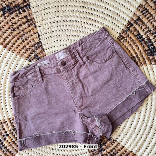 women Pants Shorts