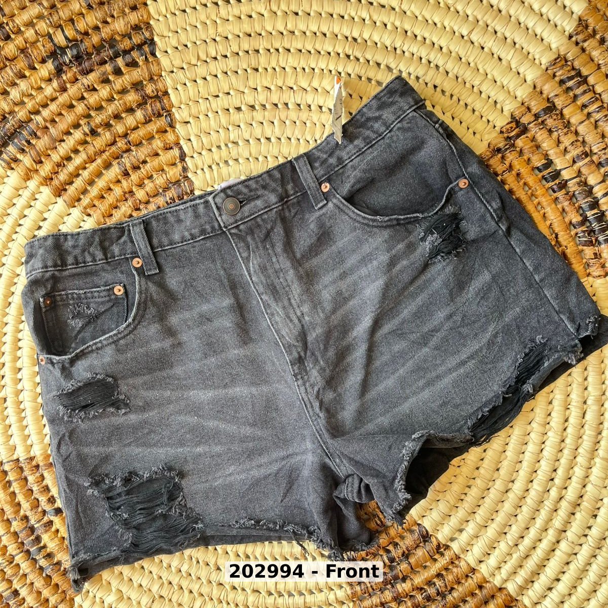 women Pants Shorts