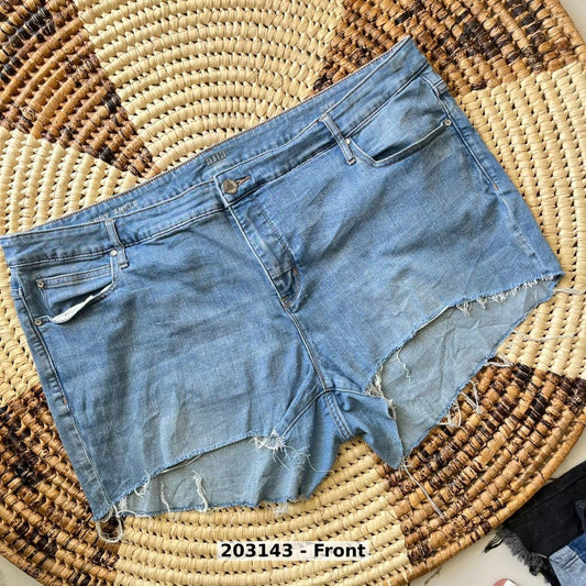 women Pants Shorts