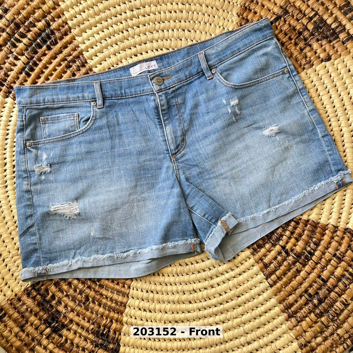 women Pants Shorts
