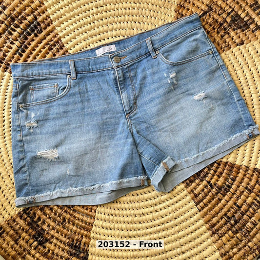 women Pants Shorts