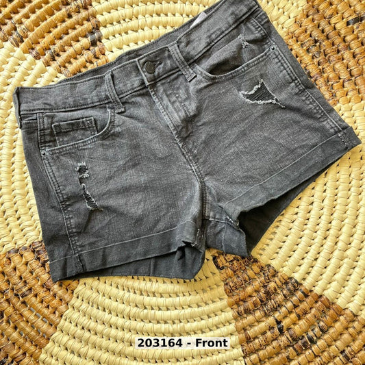 women Pants Shorts