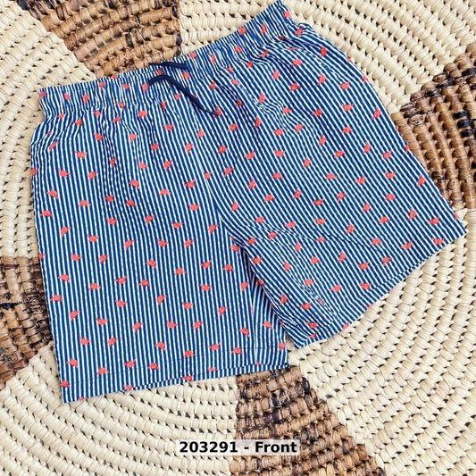 men Swimwear Swim Shorts