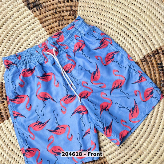 men Swimwear Swim Shorts
