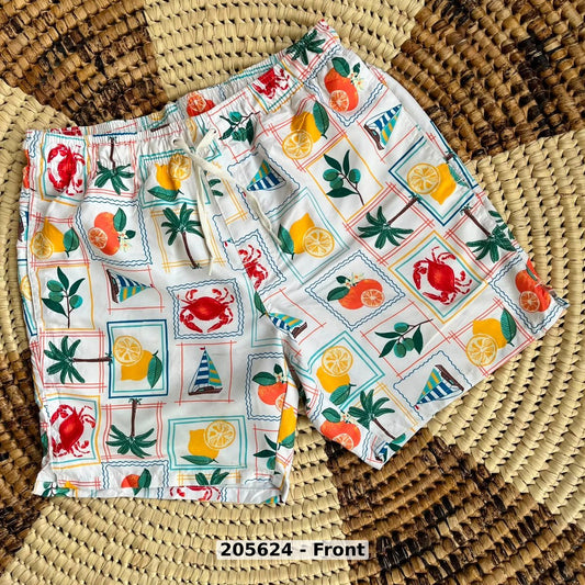 men Swimwear Swim Shorts