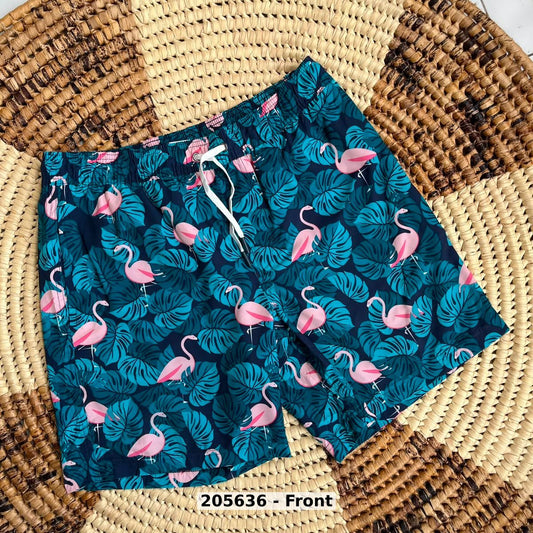 men Swimwear Swim Shorts