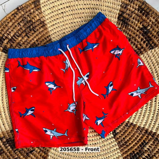 men Swimwear Swim Shorts