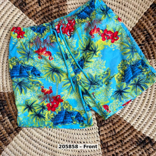 men Swimwear Swim Shorts